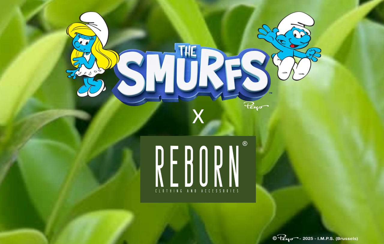 Meet the Blue Crew | Smurfs x REBORN®